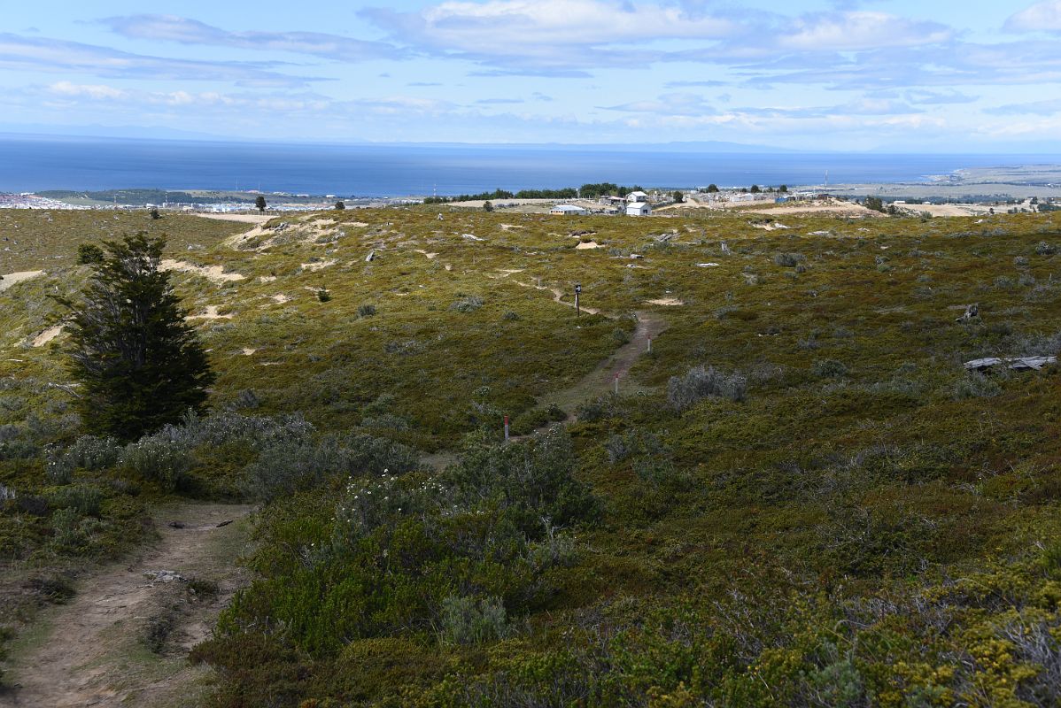 15A Walking Along The Las Minas Trail In Magallanes National Reserve Near Punta Arenas Chile